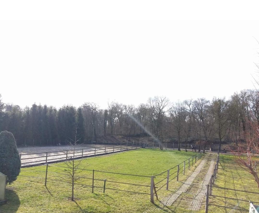 Repos Rouge-Plaisir Au Milieu Des Chevaux Apartamento Kembs Exterior foto