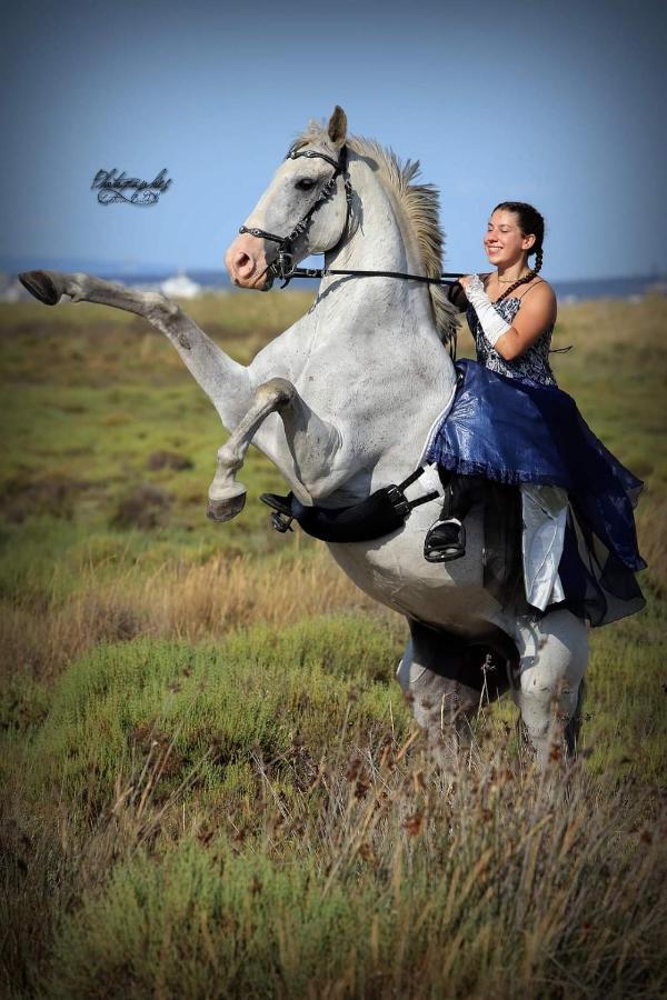 Repos Rouge-Plaisir Au Milieu Des Chevaux Apartamento Kembs Exterior foto